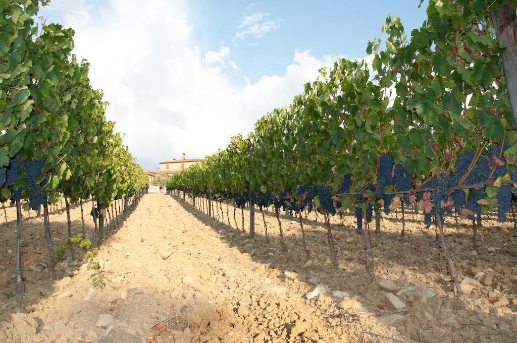 Agriturismo Amina, Winery&Hiking Vagliagli Exterior foto