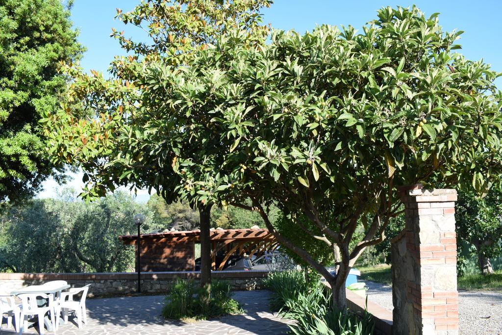 Agriturismo Amina, Winery&Hiking Vagliagli Exterior foto